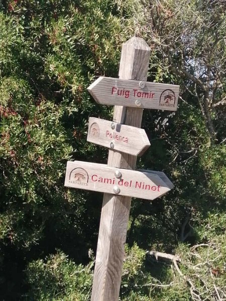 231008_Ninot.jpg - Mallorca-Wanderungen Oktober 2023 - 08.10.23 - Fartaritx-Ninot   weiter über Cami del Ninot