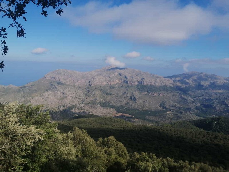 231011_Puig_Roig.jpg - Mallorca-Wanderungen Oktober 2023 - 11.10.23 - Galileu    Puig Roig (Roter Berg) vom Aufstieg zum Galileu
