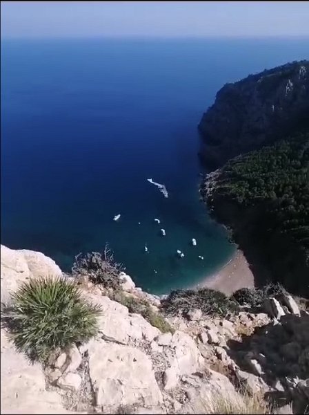 231013_Bucht_Coll_Baix.jpg - Mallorca-Wanderungen Oktober 2023 - 13.10.23 - Talaia d'Alcúdia (400 Hm, 20k)  Bucht von Coll Baix