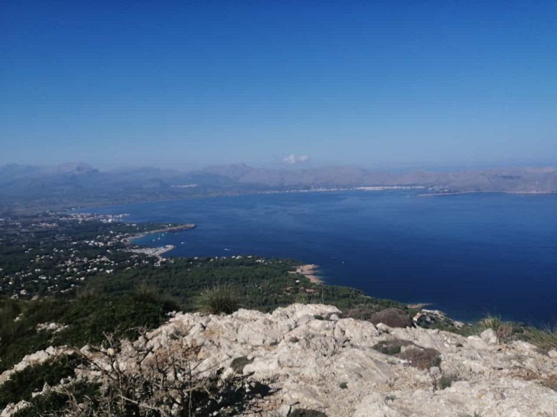 231013_Bucht_Pollenca.jpg - Mallorca-Wanderungen Oktober 2023 - 13.10.23 - Talaia d'Alcúdia (400 Hm, 20k)  Bucht von Pollenca