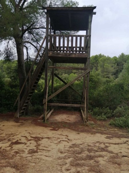 231016_Turm.jpg - Mallorca-Wanderungen Oktober 2023 - 16.10.23 - zum Turó de na Moixa (150 Hm, 27k)  Aussichtsturm