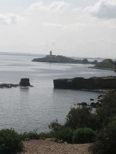 231017_Alcanada.jpg - Mallorca-Wanderungen Oktober 2023 - 17.10.23 - Alcanada  Insel Alcanada