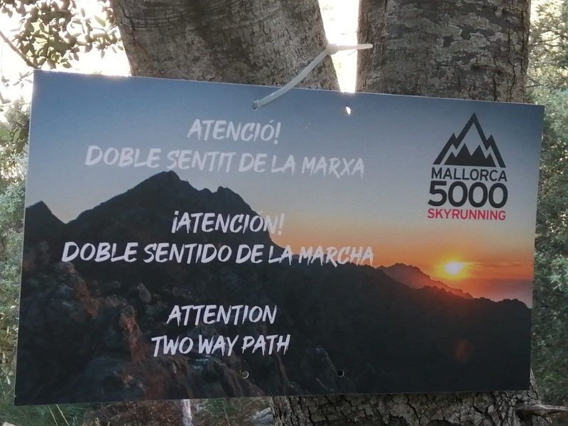 231019_Berglauf.jpg - Mallorca-Wanderungen Oktober 2023 - 19.10.23 - Coma Sema, Barancones  (440 Hm, 24k)  Gegenverkehr beim Berglauf