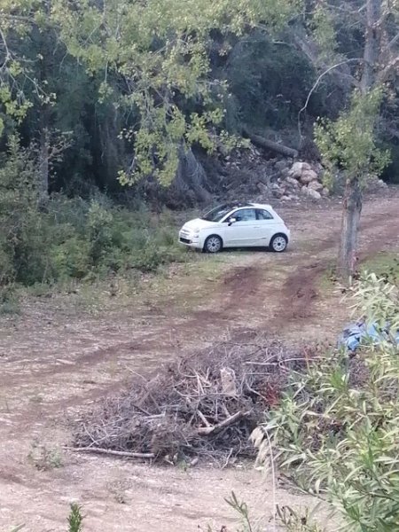 231021_Fifi.jpg - Mallorca-Wanderungen Oktober 2023 - 21.10.23 - Figueroles, Binibona, Caimari  Parkplatz fast leer (mein Fifi wartet)