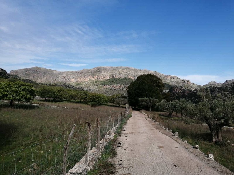 231022_Puig_Roig.jpg - Mallorca-Wanderungen Oktober 2023 - 22.10.23 - Cosconar   Puig Roig (Roter Berg) von ganz nahe