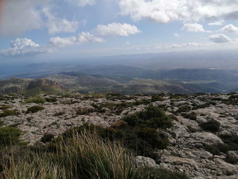 231024_Osten.jpg - Mallorca-Wanderungen Oktober 2023 - 24.10.23 - Puig Tomir mit Umrundung  (730 Hm, 27k)  Blick Richtung Osten (vom Gipfel) 