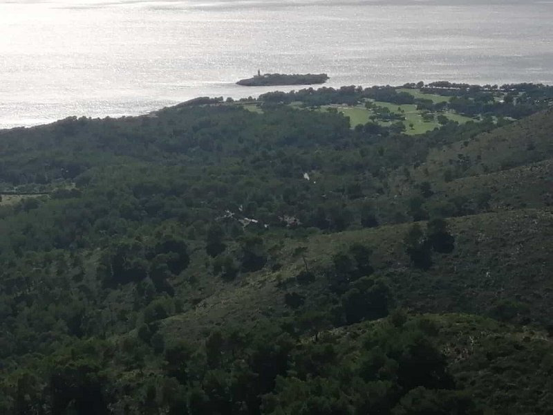 231025_Alcanada.jpg - Mallorca-Wanderungen Oktober 2023 - 25.10.23 - Talaia d'Alcudia kurz  (330 Hm, 14k)  Insel Alcanada vom Abstieg