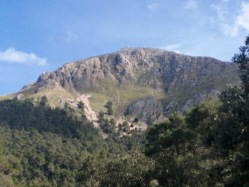 240307_Tomir.jpg - Mallorca-Wanderungen März 2024 - 07.03.24 - Binifaldo   Tomir