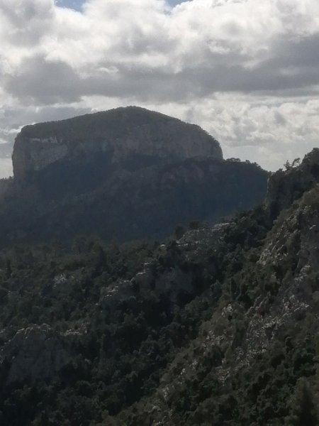 240310_Tafelberg.jpg - Mallorca-Wanderungen März 2024 - 10.03.24 - Tossals Verds   Tafelberg