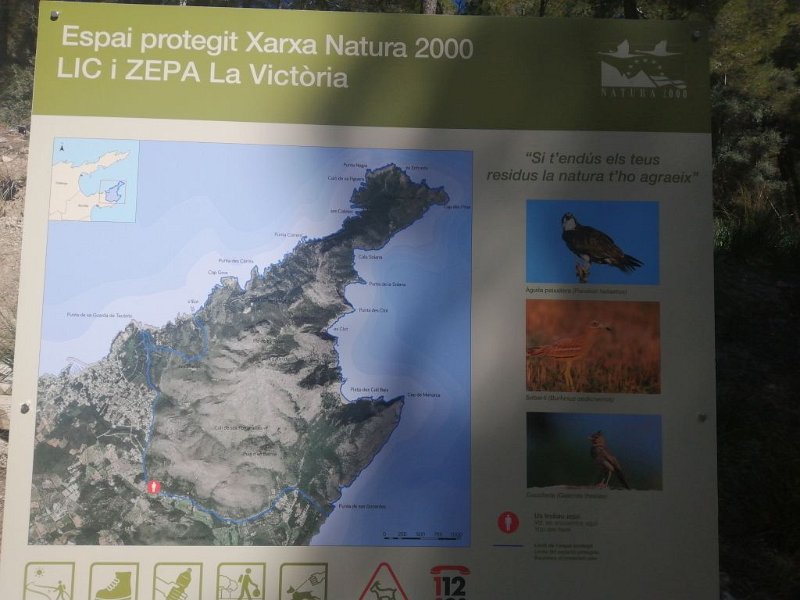 240311_Natura_2000.jpg - Mallorca-Wanderungen März 2024 - 11.03.24 - um den Vaume  Netzwerk Natura 2000