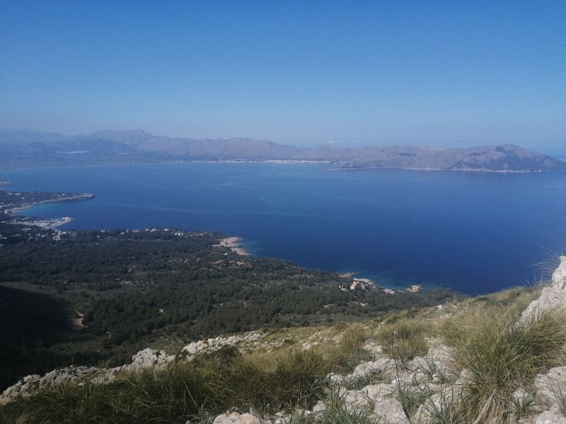 240315_Bucht_Pollenca_Talaia.jpg - Mallorca-Wanderungen März 2024 - 15.03.24 - Talaia d' Alcúdia   Bucht von Pollenca (vom Talaia)