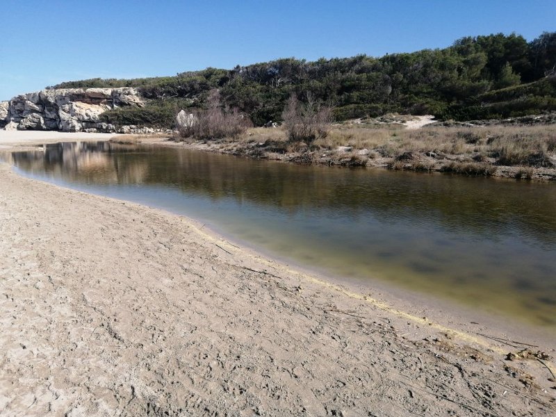 240316_Estany_Son_Baulo.jpg - Mallorca-Wanderungen März 2024 - 16.03.24 - Strandwanderung Son Bauló - Son Serra de Marina   Estany Son Baoló (keine Verbindung zum Meer)