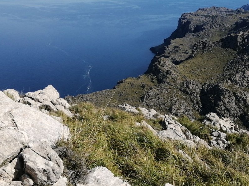 240317_Kueste.jpg - Mallorca-Wanderungen März 2024 - 17.03.24 - Sonntagswanderung um den Puig Roig  (490 Hm, 34k Schritte) Endlich an der Küste