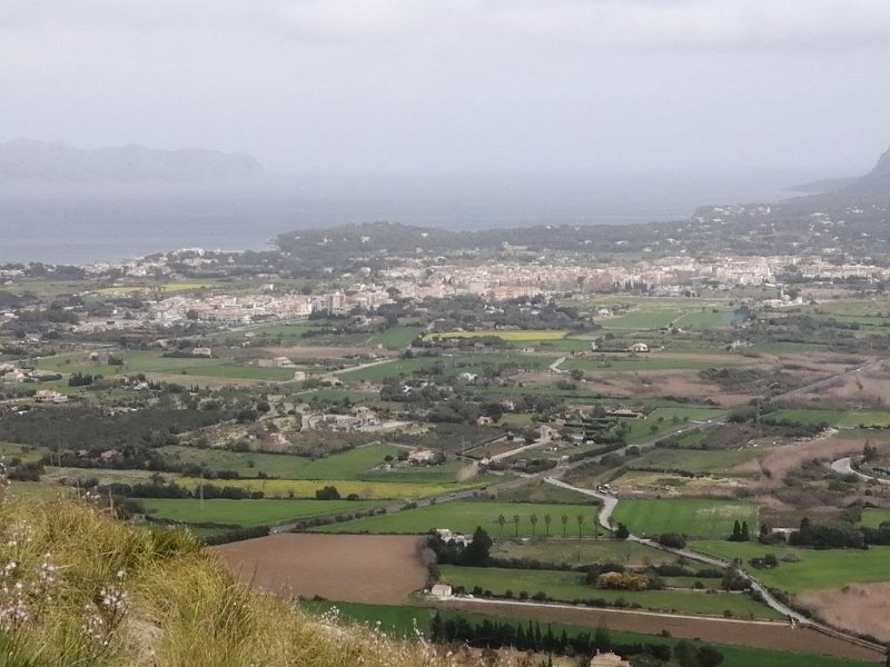 240324_Alcudia.jpg - Mallorca-Wanderungen März 2024 - 24.03.24 - Puig St. Marti  Alcúdia