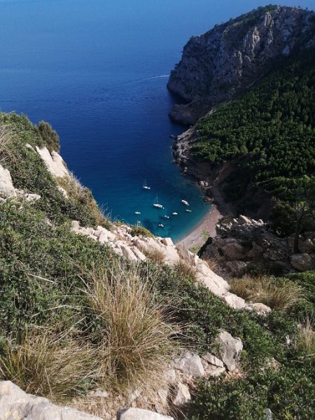 241012_Badebucht.jpg - Mallorca-Wanderungen Oktober 2024 - 12.10.24 - Talaia d' Alcúdia  (430 Hm, 19k, 10 km)  die wohl schönste Badebucht (platja de coll baix)