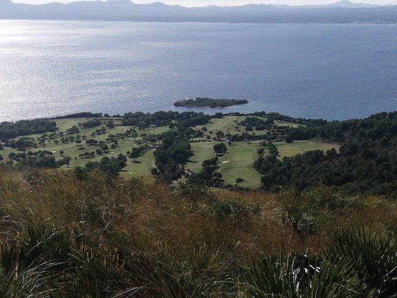 241012_Golfplatz.jpg - Mallorca-Wanderungen Oktober 2024 - 12.10.24 - Talaia d' Alcúdia  (430 Hm, 19k, 10 km)  Golfplatz Alcanada und die gleichnamige Insel