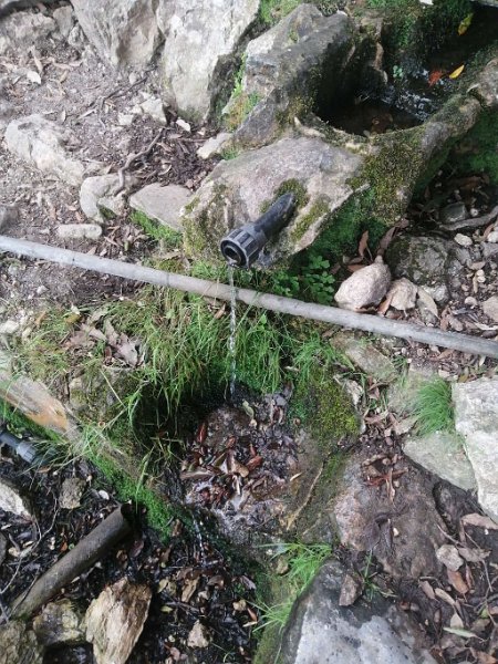 241015_Quelle.jpg - Mallorca-Wanderungen Oktober 2024 - 15.10.24 - Fartaritx-Ninot  (410 Hm, 20k, 10 km)  Quelle 