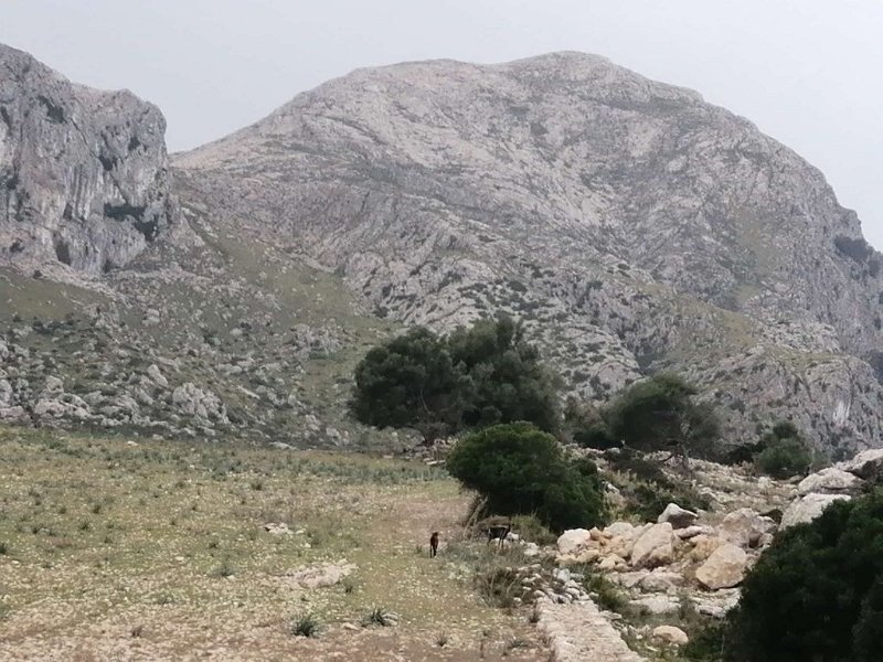 241015_Tomir.jpg - Mallorca-Wanderungen Oktober 2024 - 15.10.24 - Fartaritx-Ninot  (410 Hm, 20k, 10 km)  Tomir