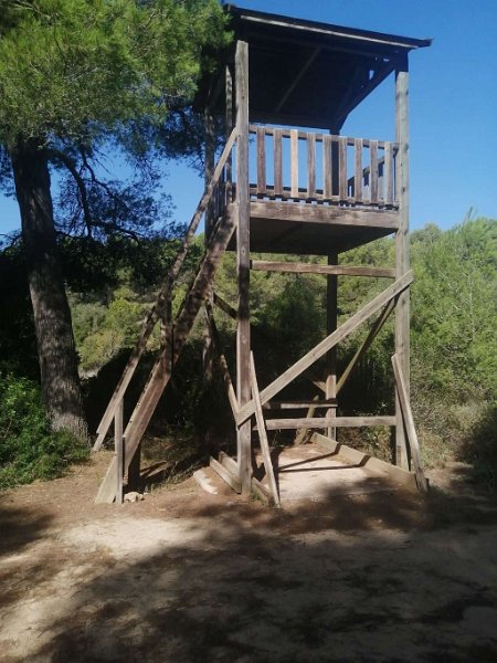241016_Aussichtsturm.jpg - Mallorca-Wanderungen Oktober 2024 - 16.10.24 - Strandwanderung Son Bauló  (20 Hm, 18k, 11 km)  Aussichtsturm am Torrent de son Real