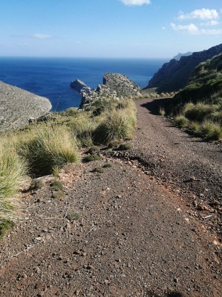 241017_Cala_Cami_Rey.jpg - Mallorca-Wanderungen Oktober 2024 - 17.10.24 - Tornelles  (310 Hm, 27k, 13 km)  Ende des cami del rey (links die Bucht cala del rey)