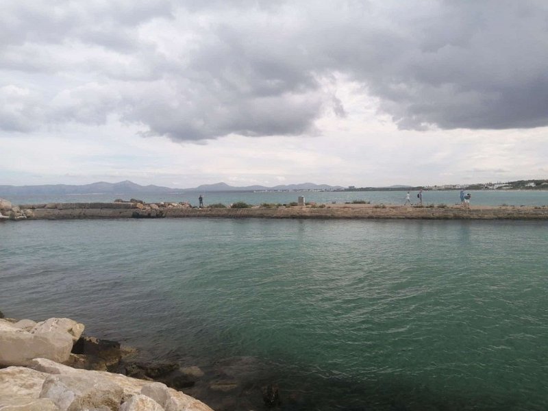 241025_Can_Picafort.jpg - Mallorca-Wanderungen Oktober 2024 - 25.10.24 - Strandwanderung  (20 Hm, 19k, 13 km)   Can Picafort von S' Oberta