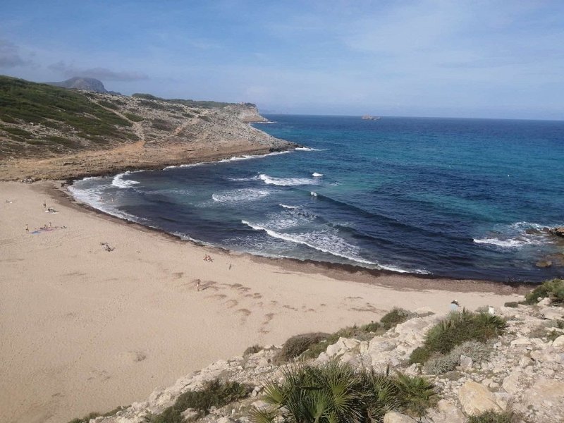 241028_Cala_Mijana.jpg - Mallorca-Wanderungen Oktober 2024 - 28.10.24 - Cala Mesquida - Torre d'Albarca  (230 Hm, 23k, 13 km)   Cala Mitjana
