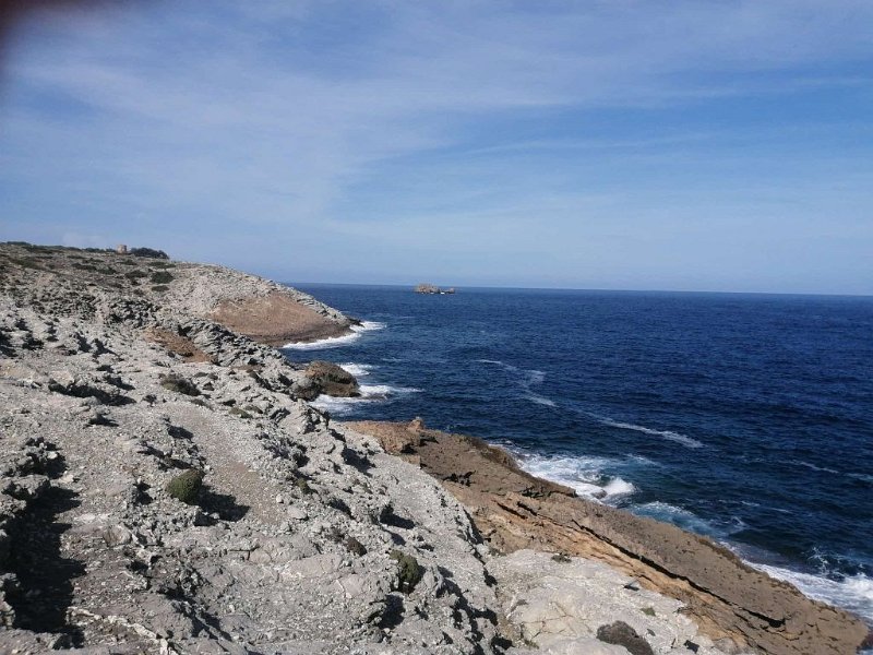 241028_Insel.jpg - Mallorca-Wanderungen Oktober 2024 - 28.10.24 - Cala Mesquida - Torre d'Albarca  (230 Hm, 23k, 13 km)   Kleine Insel vor der Küste