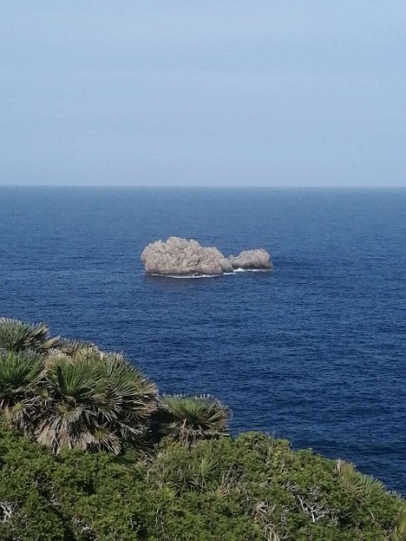 241028_Insel_nahe.jpg - Mallorca-Wanderungen Oktober 2024 - 28.10.24 - Cala Mesquida - Torre d'Albarca  (230 Hm, 23k, 13 km)   die Insel jetzt ganz nahe