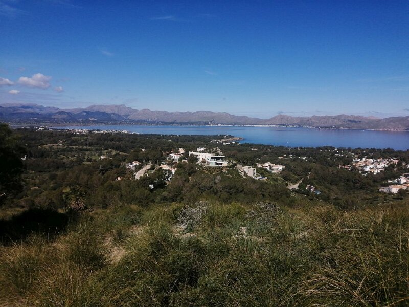 250325_Alcudia.jpg - Mallorca-Wanderungen März 2025 - 25.03.25 - Talaia d'Alcudia   Bucht von Pollenca