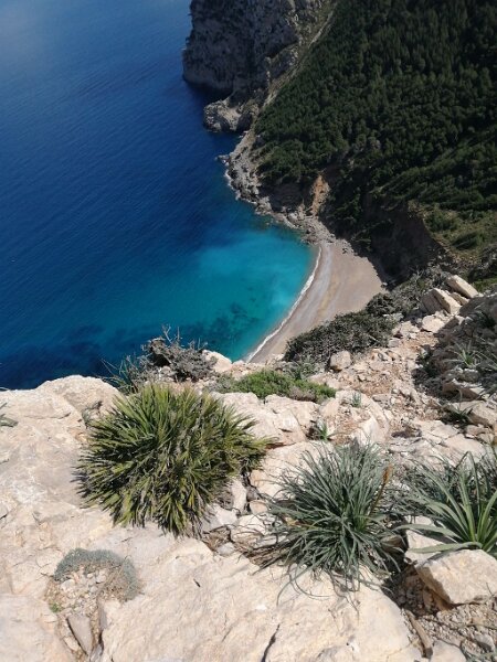 250325_Bucht.jpg - Mallorca-Wanderungen März 2025 - 25.03.25 - Talaia d'Alcudia   Badebucht coll baix
