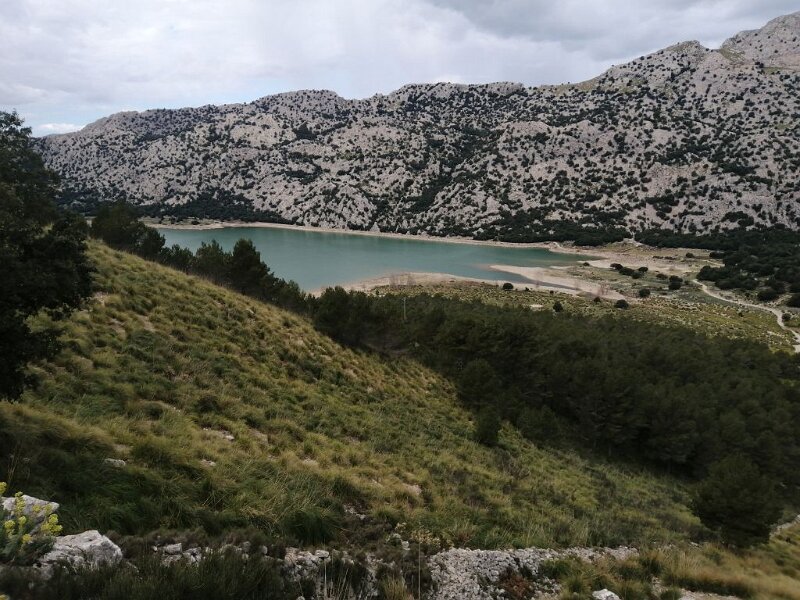 250326_Cuber.jpg - Mallorca-Wanderungen März 2025 - 26.03.25 - Tossals Verds  (460 Hm, 11 km, 25k)  Stausee Cubér