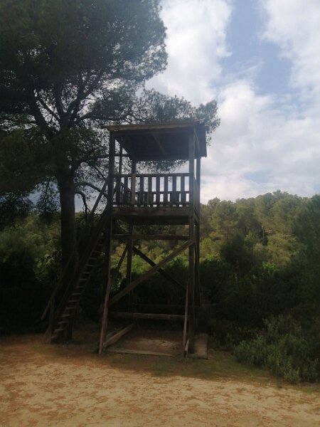 250327_Turm.jpg - Mallorca-Wanderungen März 2025 - 27.03.25 - Son Bauló - Sa Serra de Marina  Aussichtsturm ohne Aussicht