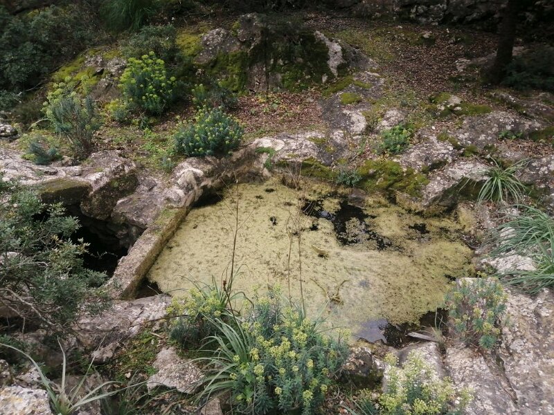250328_Quelltopf.jpg - Mallorca-Wanderungen März 2025 - 28.03.25 - Caimari - Coll Batalla  (430 Hm, 10km, 20k)  Könnte ein Quelltopf sein