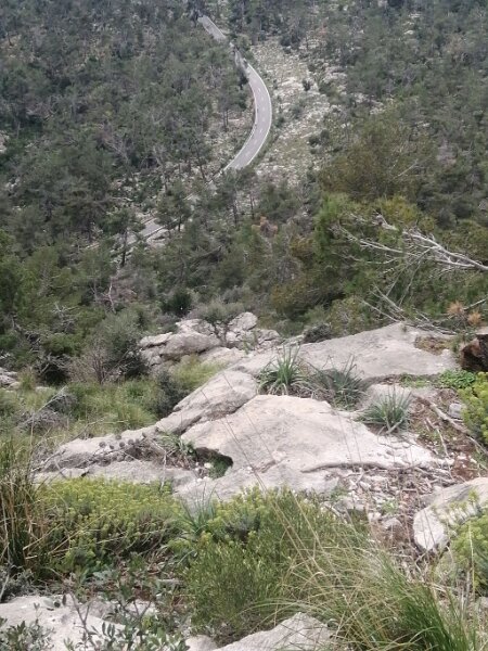 250328_Strasse.jpg - Mallorca-Wanderungen März 2025 - 28.03.25 - Caimari - Coll Batalla   Straße weiter unten (links Lluc, rechts Caimari)