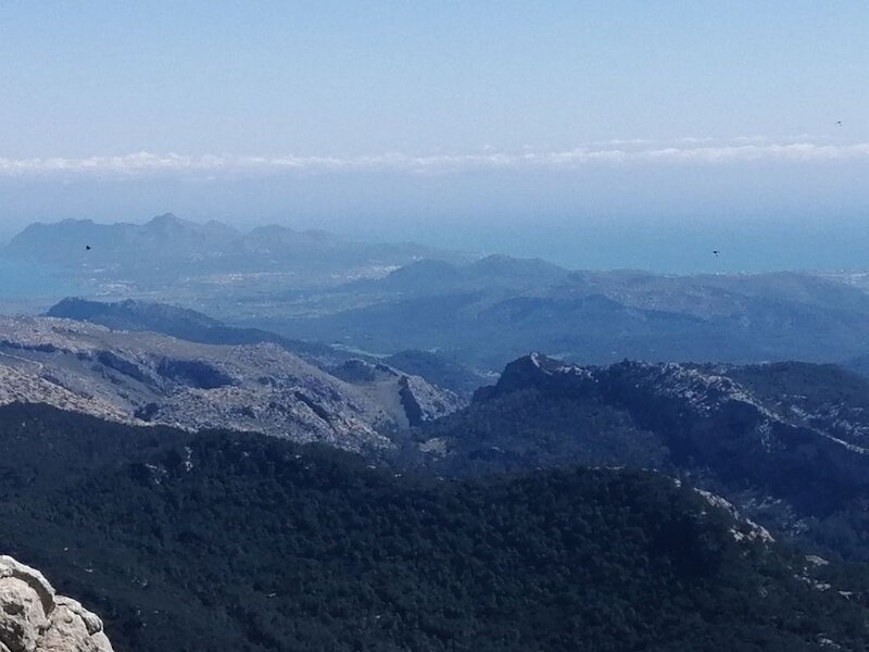 250401_Vaumell.jpg - Mallorca-Wanderungen März 2025 - 01.04.25 - Galileu   Bildmitte Vaumell und Dant Marti (gestern)