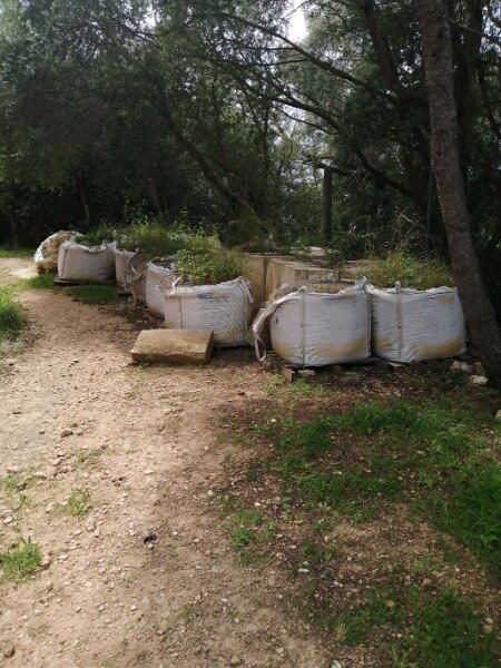 250402_Abriss.jpg - Mallorca-Wanderungen März 2025 - 02.04.25 - Puig Negre   Abrissschutt wird wieder belebt 