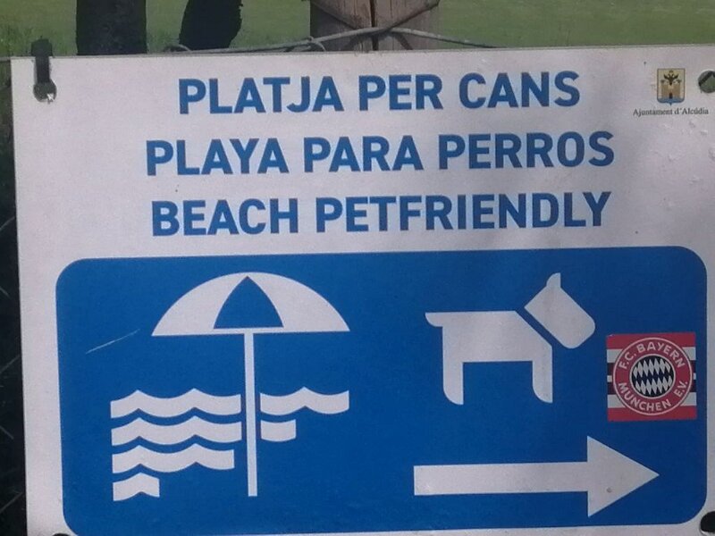 250402_Hundestrand.jpg - Mallorca-Wanderungen März 2025 - 02.04.25 - Puig Negre   Hundestrand-Schild