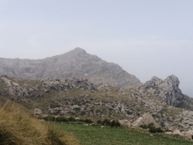 250404_PuigRoig.jpg - Mallorca-Wanderungen März 2025 - 04.04.25 - Femenia   Puig Roig  (Sonntagswanderung)