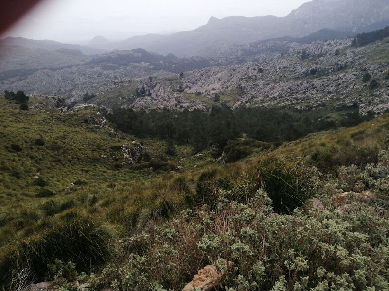 250404_wildeLandschaft.jpg - Mallorca-Wanderungen März 2025 - 04.04.25 - Femenia   wilde Landschaft 
