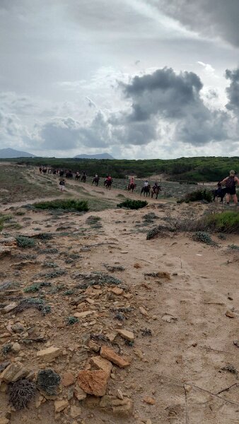 251013_Reiter.jpg - Mallorca-Wanderungen Oktober 2025 - 13.10.25 - Son Serra de Marina  (20 Hm, 9 km, 16k)  große Reitergruppe 