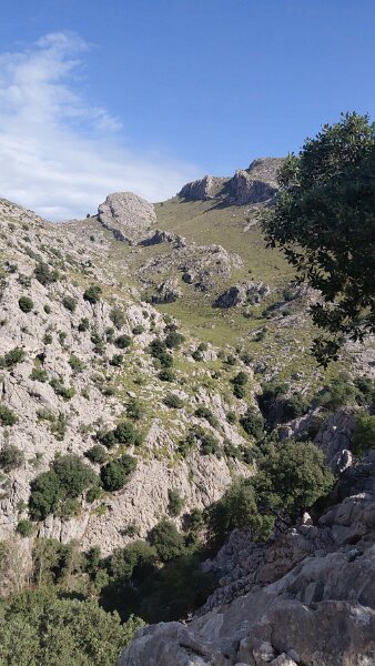 251014_Sonnenfoto.jpg - Mallorca-Wanderungen Oktober 2025 - 14.10.25 - Coma Sema  (430 Hm, 12 km, 22k)  Weg zum Refugi Tossals Verds 