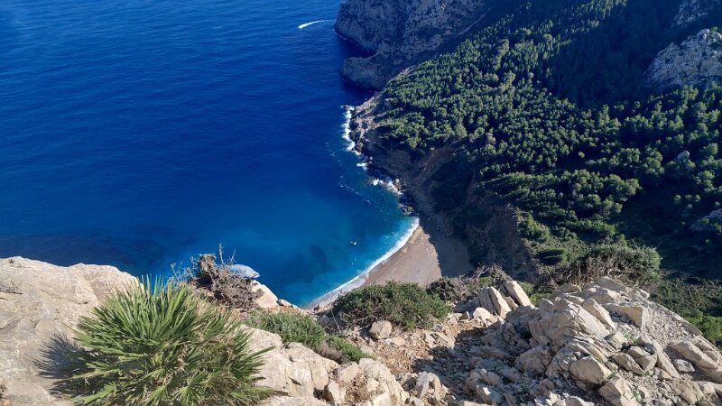251017_Bucht_Coll-Baix.jpg - Mallorca-Wanderungen Oktober 2025 - 17.10.25 - Talaia d' Alúdia  (470 Hm, 11 km, 20k)  Bucht Platja de coll baix (schönste Bucht)