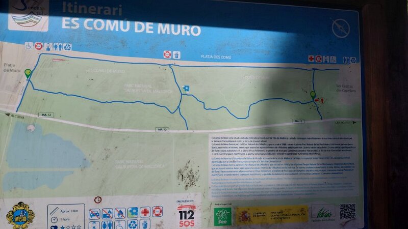 251023_Wanderweg_Sandduenen.jpg - Mallorca-Wanderungen Oktober 2025 - 23.10.25 - Sanddünen  (10 Hm, 7 km, 10k)  Wanderwege innerhalb der Sanddüne 