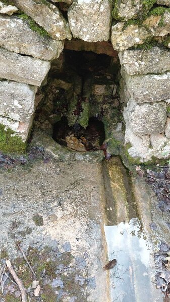 260310_Quelle.jpg - Mallorca-Wanderungen März 2026 - 10.03.26 - Binifaldo  (110 Hm, 5 km, 8k)  Quelle