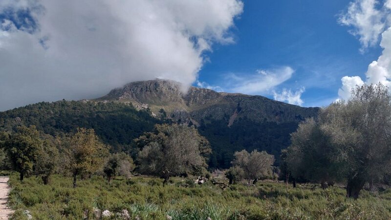 260310_Tomir.jpg - Mallorca-Wanderungen März 2026 - 10.03.26 - Binifaldo  (110 Hm, 5 km, 8k)  Tomir, Gipfel in Wolken