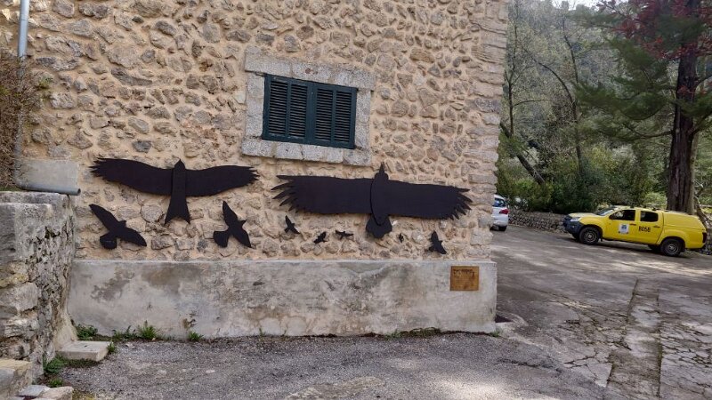 260312_Menut.jpg - Mallorca-Wanderungen März 2026 - 12.03.26 - Binifaldo  (240 Hm, 8 km, 11k)  Forststation Menut Vergleich Vögel