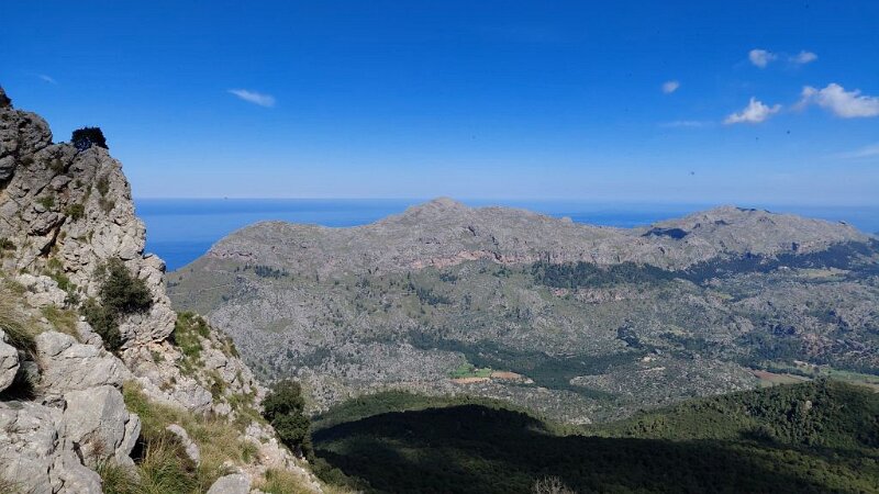 260313_Puig_Roig.jpg - Mallorca-Wanderungen März 2026 - 13.03.26 - en Galileu  (640 Hm, 8 km, 14k)  Puig Roig vom Aufstieg