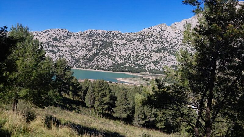260316_Cuber.jpg - Mallorca-Wanderungen März 2026 - 16.03.26 - Tossals Verds (460 Hm, 11km, 20k)   Stausee Cubér vom Aufstieg Morro