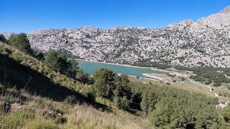 260316_Cuber2.jpg - Mallorca-Wanderungen März 2026 - 16.03.26 - Tossals Verds (460 Hm, 11km, 20k)   Stausee Cubér vom Aufstieg Morro