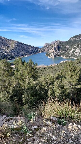 260316_Gorg_Blau.jpg - Mallorca-Wanderungen März 2026 - 16.03.26 - Tossals Verds (460 Hm, 11km, 20k)   See Gorg Blau vom Rückweg